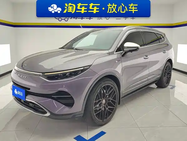 Denza X 2020