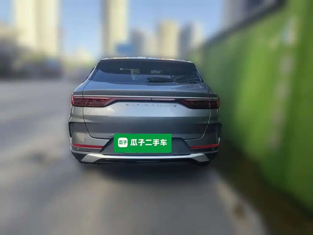 BYD Song PLUS New Energy 2021 — фото 5