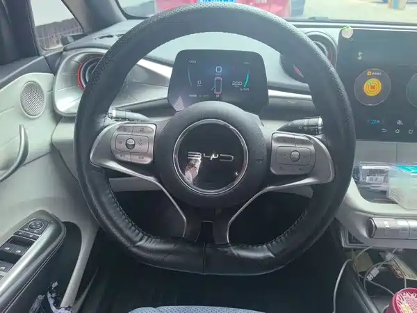 BYD Dolphin 2021