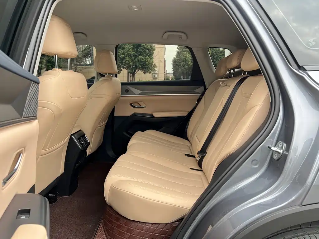 BYD Song Pro New Energy 2024 — фото 11