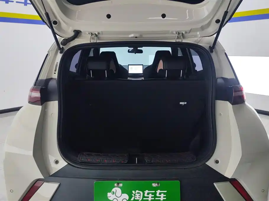 BYD Seagull 2024