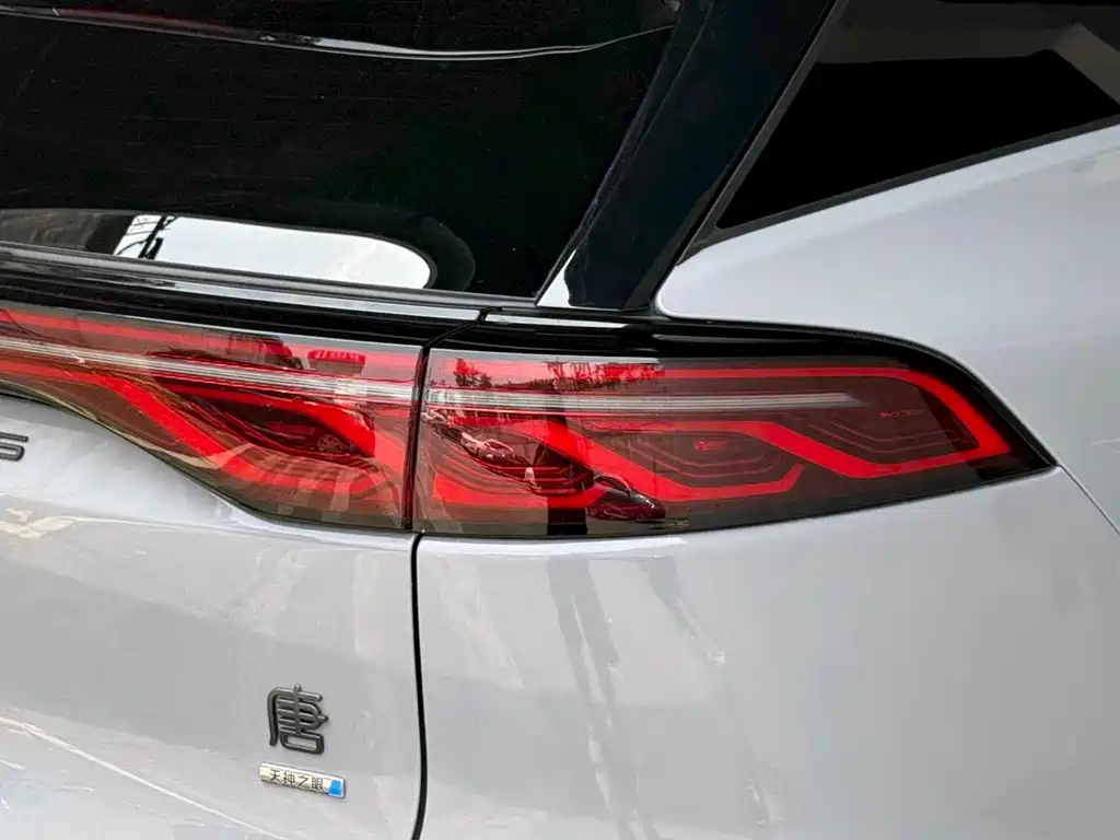 BYD Tang New Energy 2025 — фото 12