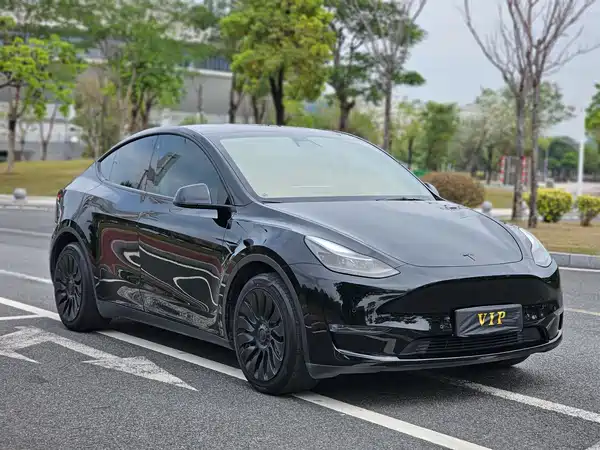 Tesla Model Y 2021