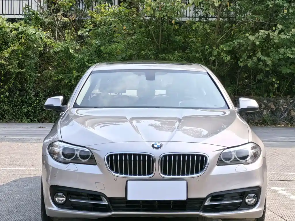 BMW 5 Series 2015 — фото 2