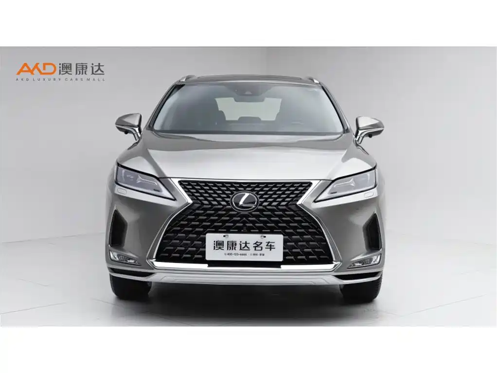 Lexus RX 2020 — фото 2