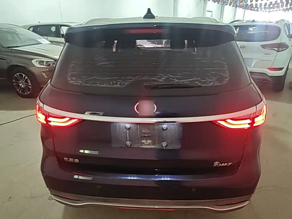 BYD MAX 2019