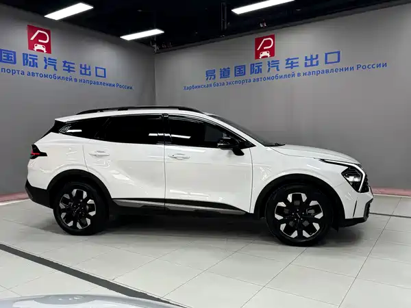 Kia Lion Platinum Expands The Boundary 2023