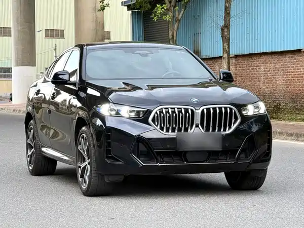 BMW X6 2024