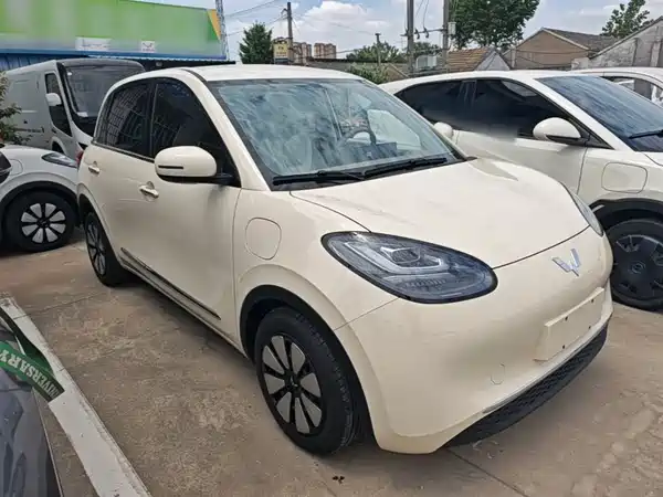 Wuling Bingo 2025