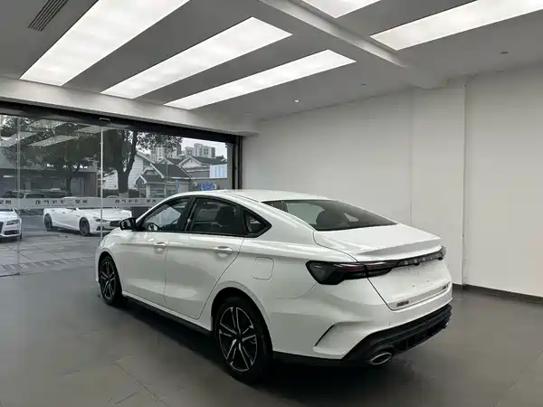 Geely Binrui 2024