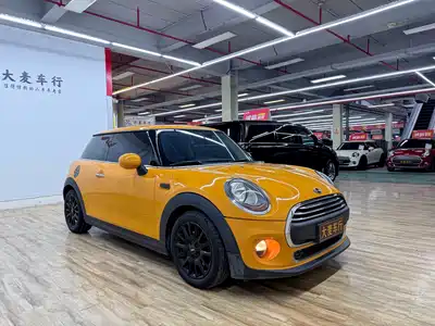 MINI MINI 2016