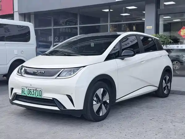 BYD Dolphin 2023