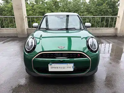 MINI MINI 2025