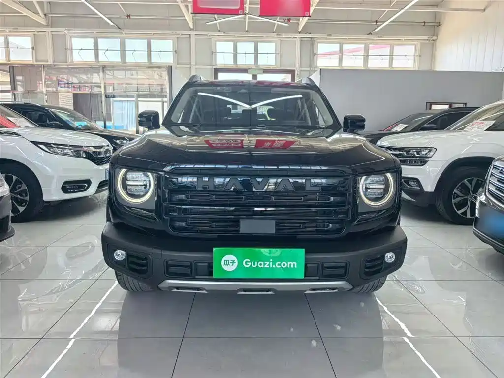 Haval Big Dog 2024 — фото 10