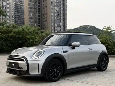 MINI MINI 2024