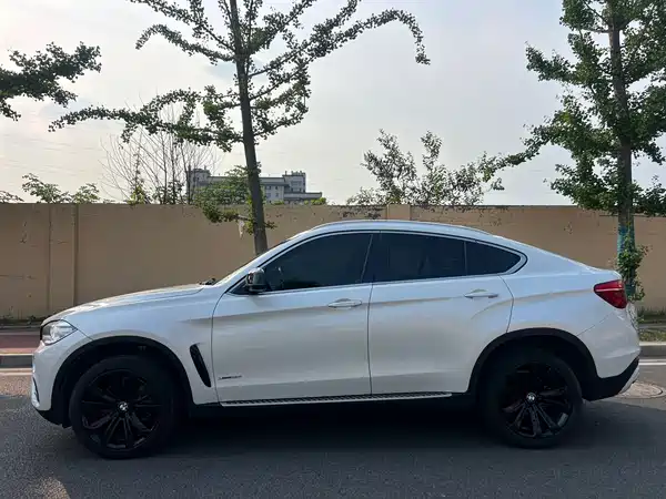 BMW X6 2019