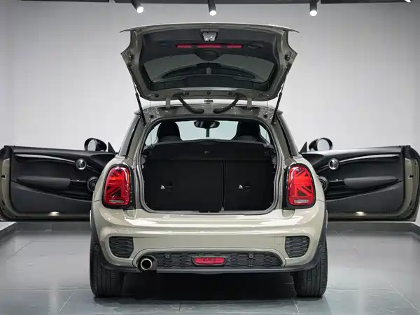 MINI 2019