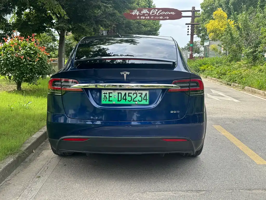 Tesla Model X 2016 — фото 4