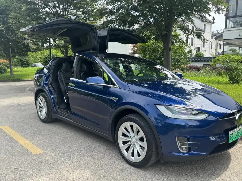 Tesla Model X 2016 — фото 13