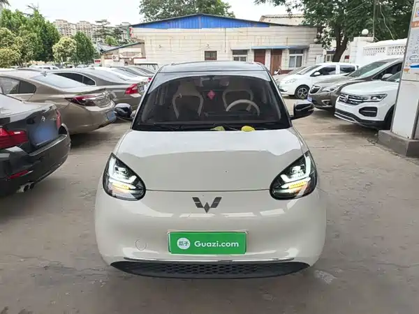 Wuling Bingo 2024