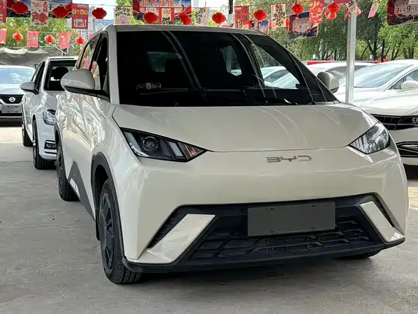BYD Seagull 2024