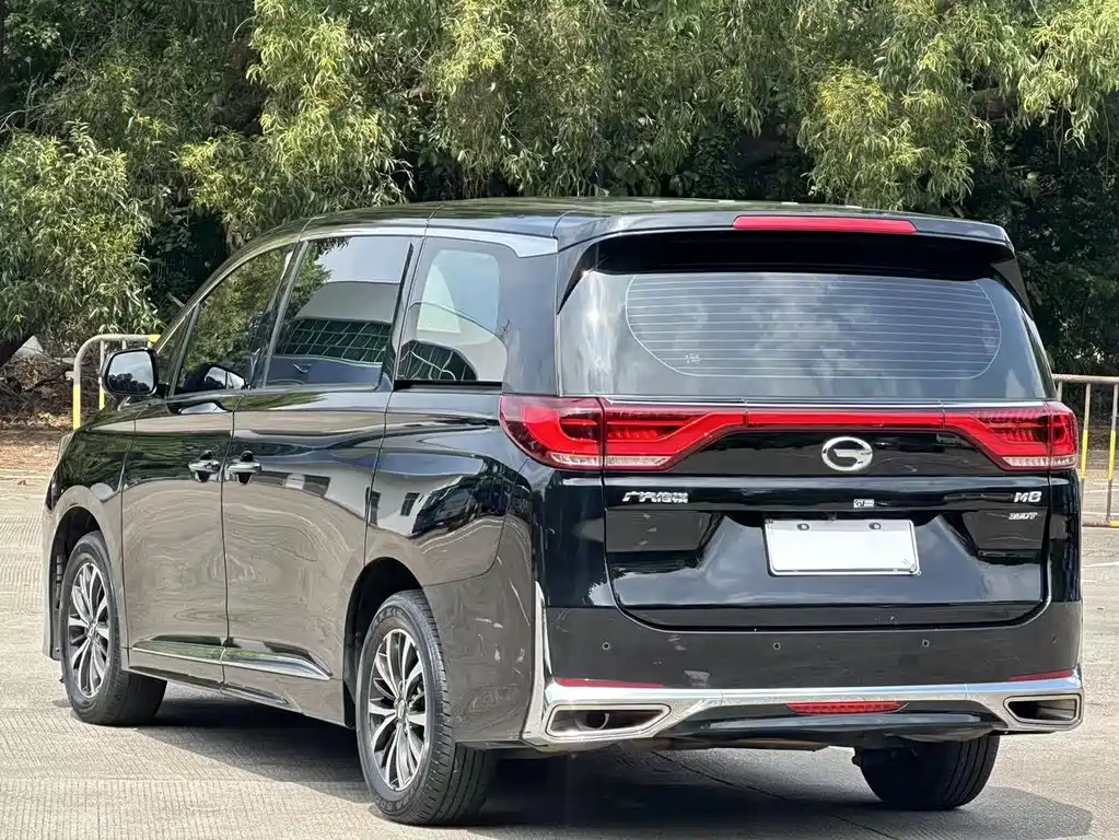 GAC Motor Trumpchi M8 2023 — фото 14