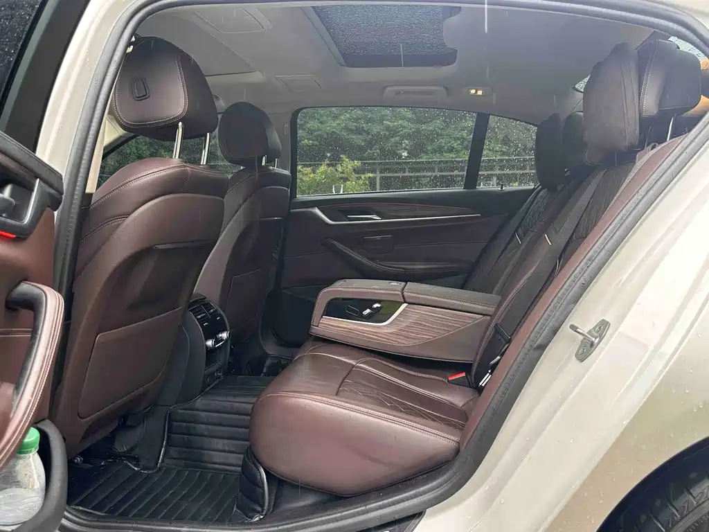 BMW 5 Series New Energy 2020