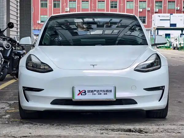 Tesla Model 3 2019