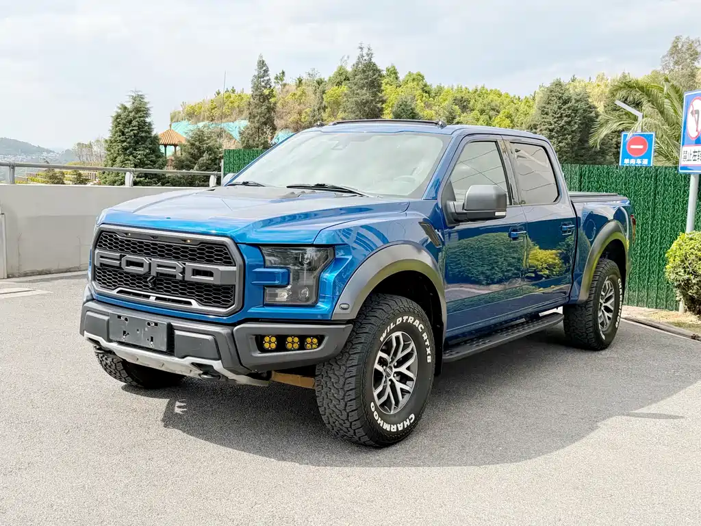 Ford F-150 Raptor 2017 — фото 1