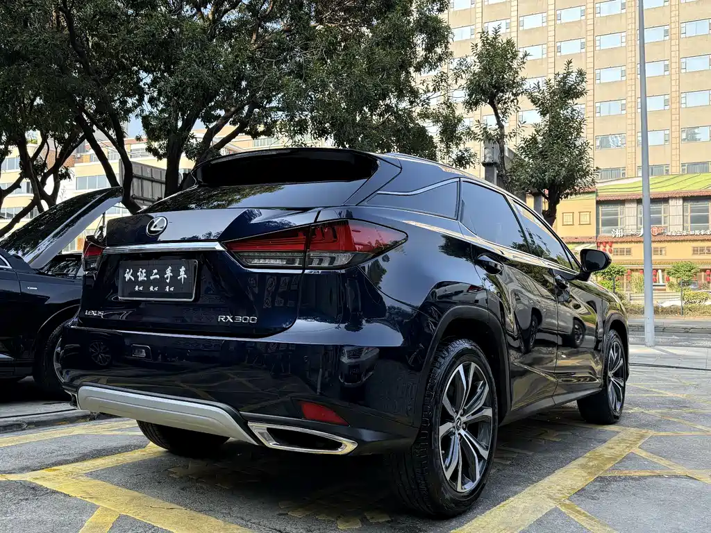 Lexus RX 2022 — фото 5