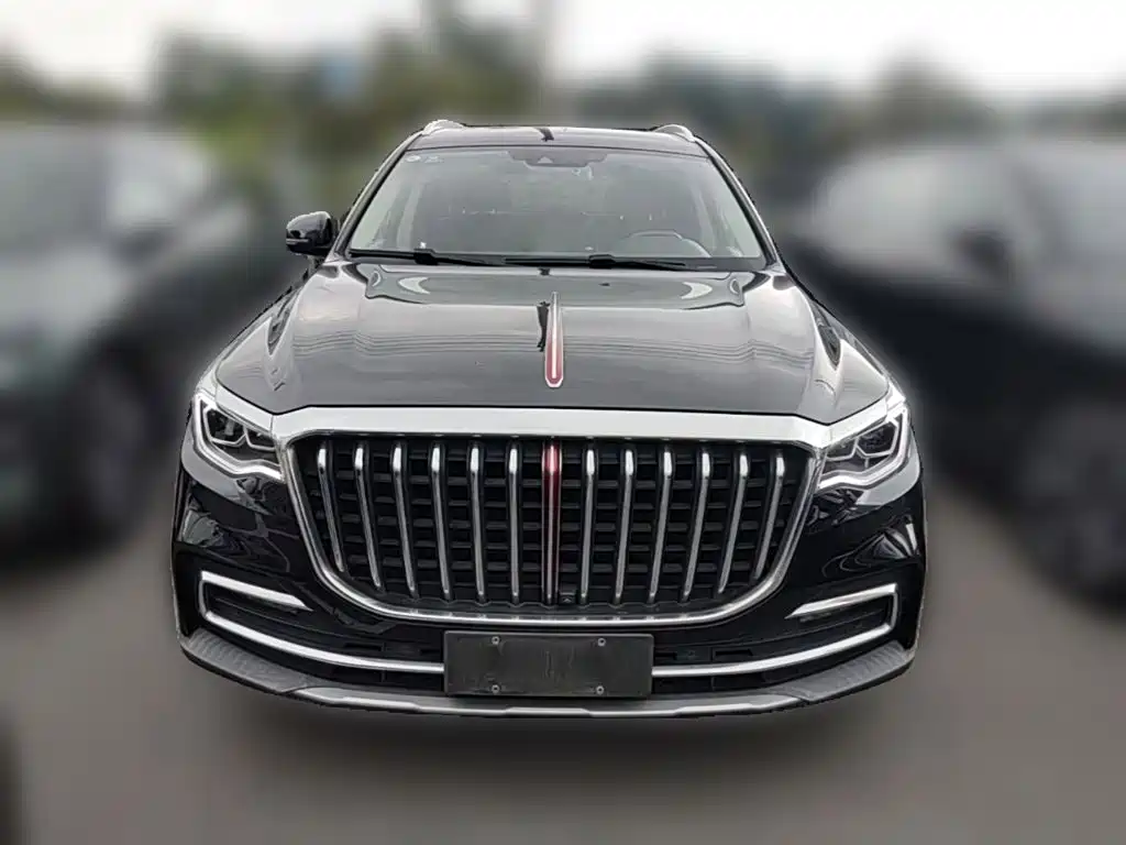 Hongqi HS7 2020