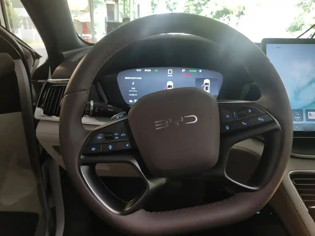 BYD PLUS New Energy 2025 — фото 11