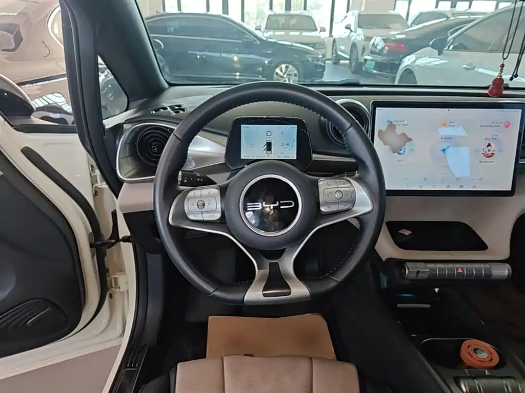 BYD Dolphin 2023 — фото 11