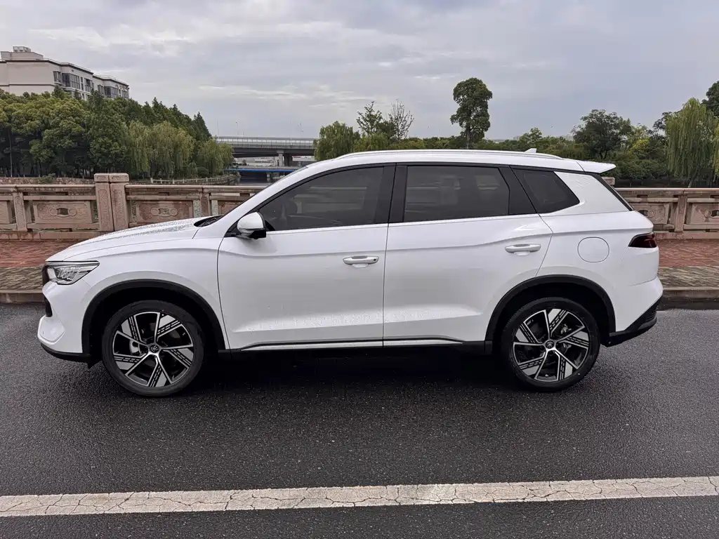BYD Pro New Energy 2024 — фото 3