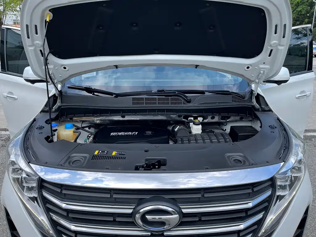 GAC Trumpchi M8 2023 — фото 27