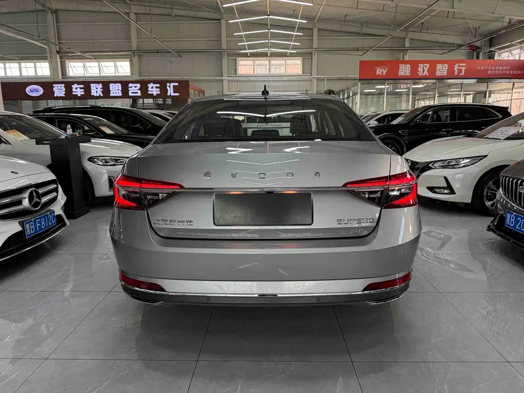 Skoda Speedy 2024