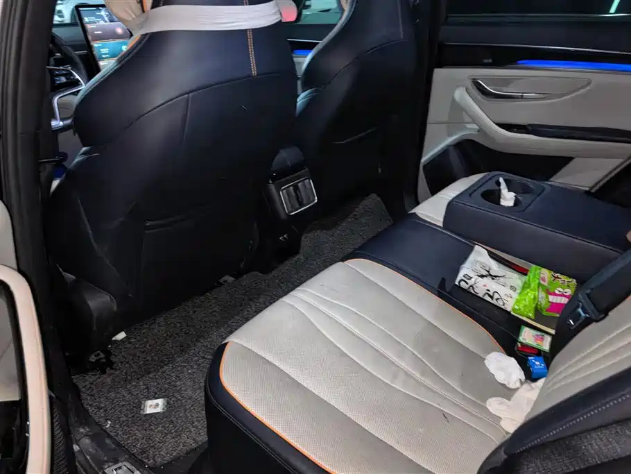BYD PLUS New Energy 2022 — фото 11