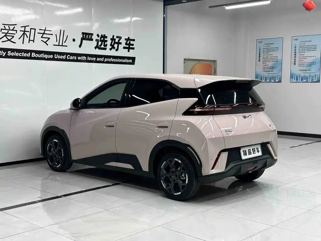 BYD Seagull 2024