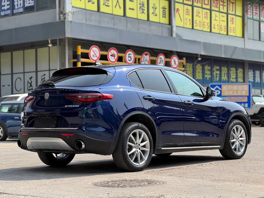 Alfa Romeo Stelvio 2019 — фото 8
