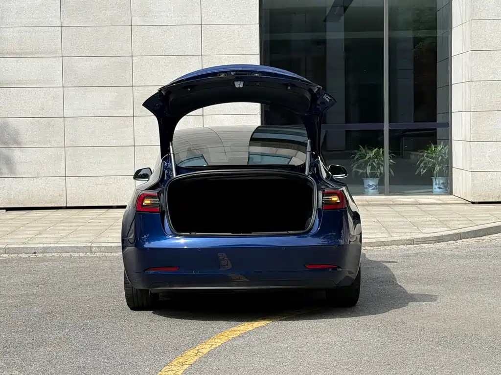 Tesla Model 3 2020 — фото 14