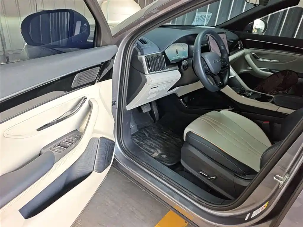 BYD PLUS New Energy 2024 — фото 16