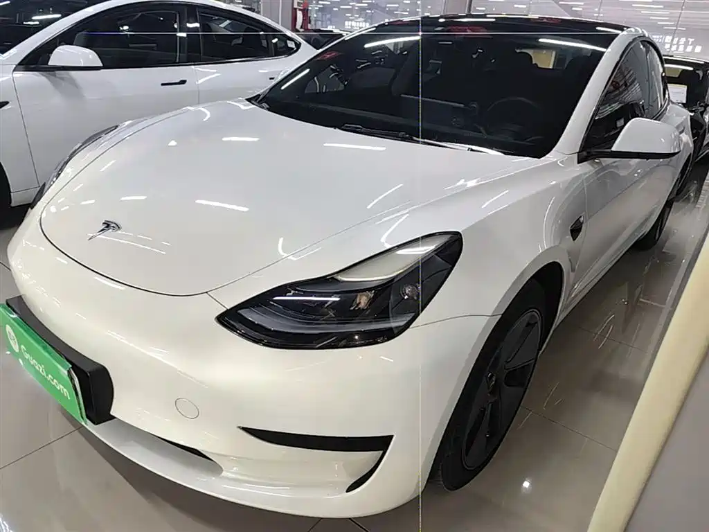 Tesla Model 3 2021 — фото 2