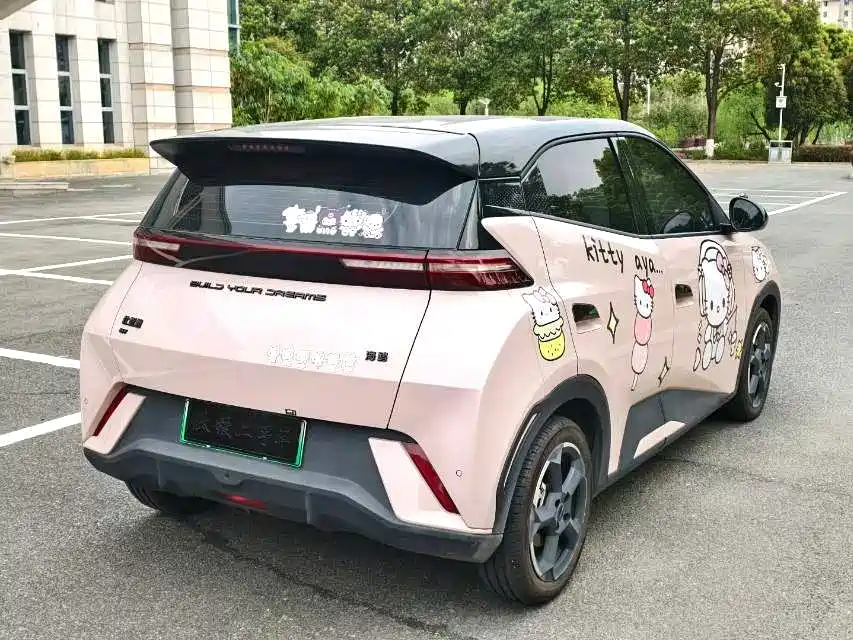 BYD Seagull 2024