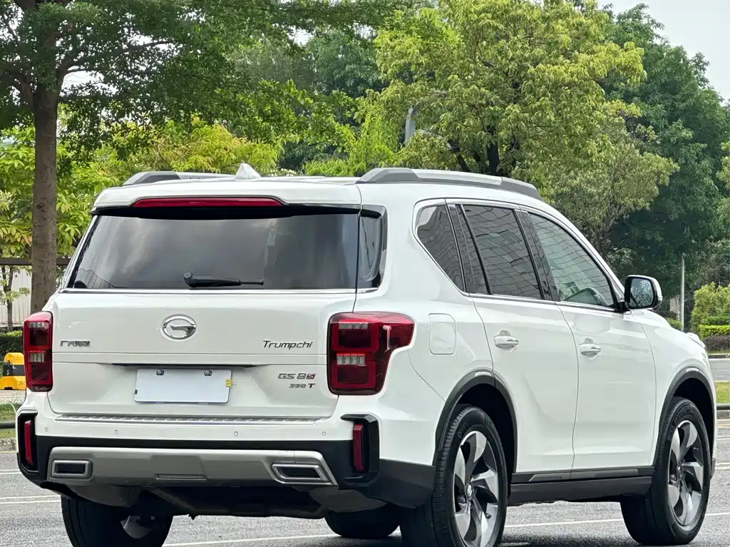 GAC Trumpchi GS8 2021 — фото 14