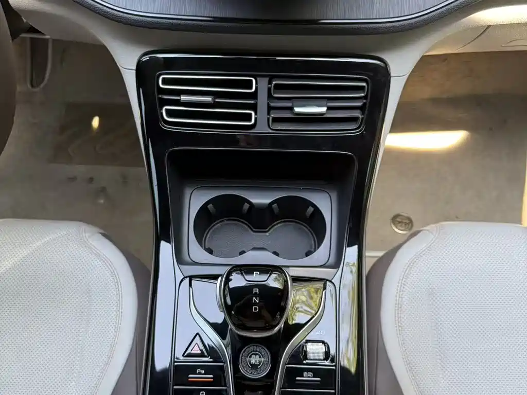 BYD Qin PLUS 2024 — фото 11