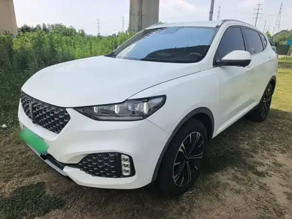Wey VV6 2020