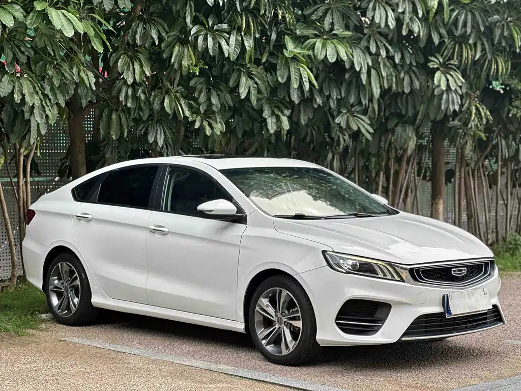 Geely Binrui 2019