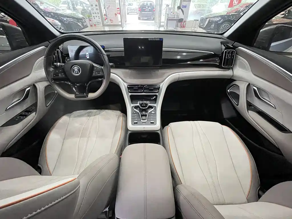 BYD Pro New Energy 2024 — фото 9