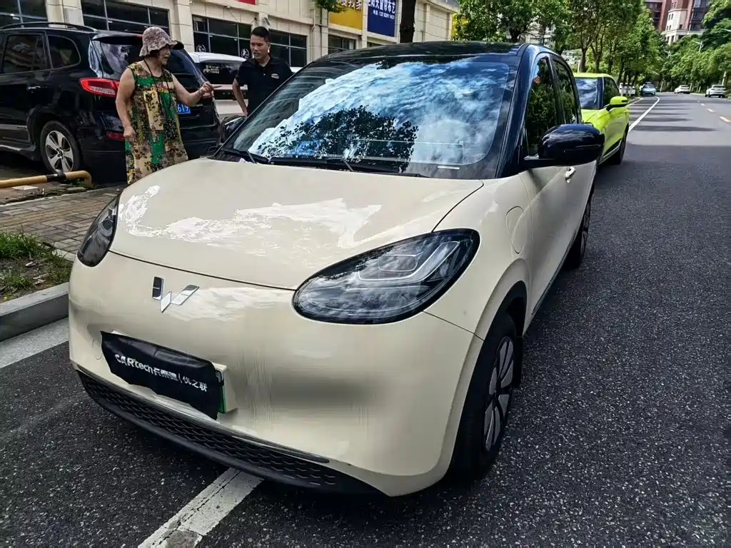 Wuling Bingo 2025