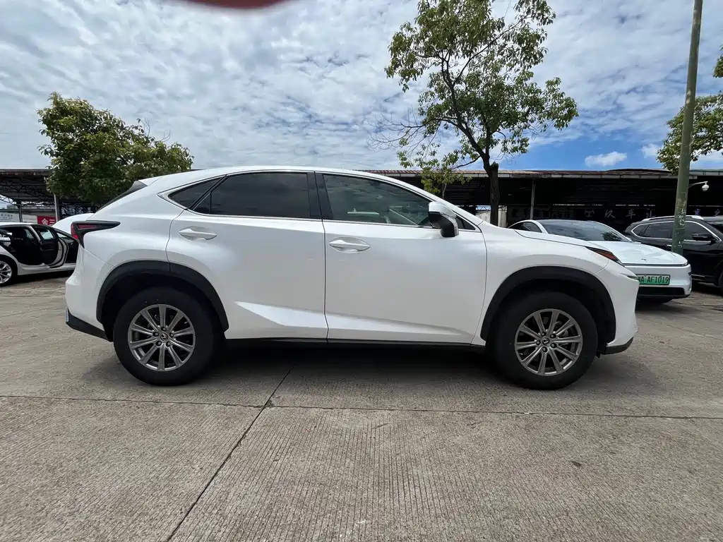 Lexus NX 2021 — фото 13